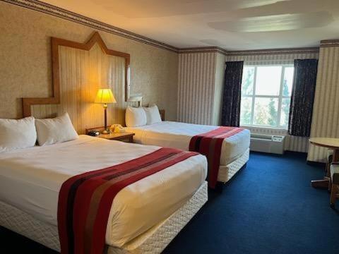 Hotel Cactus Petes & Horseshu 3*